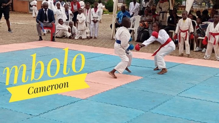 Finales Challenge Cup en Shotokan World karaté : quand le meilleur se profile à l’horizon …